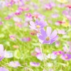 もう一人で頑張らなくていい｜助けを受け取れるようになる秘訣