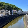 矢上川を歩く【ほぼ川崎】その２ 宮前平から鶴見川合流まで