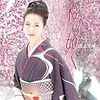 坂本冬美「桜の如く」新歌舞伎座ご招待セール