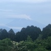 今朝の景色