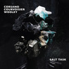 Corsano Courvoisier Wooley - Salt Task