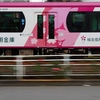 東京さくらトラム（都電荒川線）の旅⑨『薔薇と都電荒川線』
