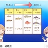 フライタックルの番手×１０センチが最適な魚のサイズ説。