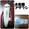水族館 アザラシモケケ