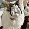 節分の楽しさが伝わるかにゃ？　うみちゃんねるを紹介するにゃ 18