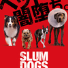 映画『スラムドッグス』評価・ネタバレ感想！　下品さと犬の青春マリアージュ