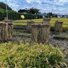 被団協にノーベル平和賞