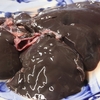 肴のジビエ料理【熊の内臓】