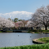 2022年、春の富山旅行③