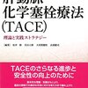 略語 TACE 算定方法 保険請求