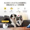 外出中のペット見守り不安を減らしたい人へ　Furboミニ 360°ビューの実用ポイント整理
