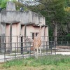 安佐動物公園