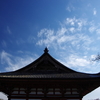 ご近所・冬の花　（東寺　梅小路公園）