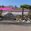 市貝町芝ざくら公園（栃木県芳賀郡市貝町）～つくば市とその周辺の風景写真案内（７４９）