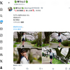 1日1ツイート！ 2024.6.15 その1 ─ なるはちゃん リク撮 2024.4.11 松川べり ─