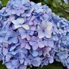 小学生になった娘の成長と親の心情の変化