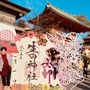 【年初め関西遠征2023】切り絵御朱印が芸術的すぎる生田神社で2023年の初詣
