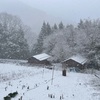 雪。また雪だよぉ