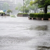 豹変する天気に翻弄される日々と日傘を持ったアラカン男子と