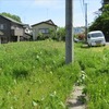 柏崎市内　ハンマーナイフで草刈り