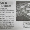 「福島原発事故の汚染水 海洋放出は非科学的（大島堅一さん）」　