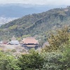 豊国廟からの清水寺。と、阿弥陀寺帰りの猛禽類。