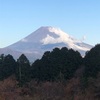 今朝の景色