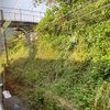 高野山へ