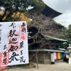 椎尾薬師・薬王院のご開帳と御朱印（茨城県桜川市）