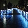 雨のホス公園の夜景