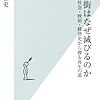 『商店街はなぜ滅びるのか』。