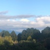 今朝の景色