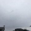 あいにくの天気ですが