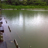 土池（茨城県土浦）