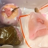 扇屋さんの桜のお菓子と春に食べられる花びら餅【本郷三丁目/東大赤門向かい側/桜餅は2種あり】