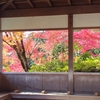 ゆったり京都の紅葉