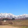 小春びより