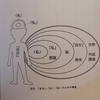 脳はなぜ「心」を作ったのか