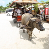 2010沖縄旅行　4日目　7月4日(日)