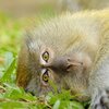 実録　心理カウンセリングを受けてみた　その11　睡眠日誌をつけて10日が経過