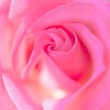 💑💒✨結婚相手の選び方１２月８（日）残席１名様です（追記満席になりました）💐✨