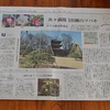 昨日の読売新聞の夕刊・・・「桐原春子のはな紀行」