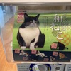 【ガチャ活】【てのり和ねこ】～どうぶつのこどもシリーズ～ガチャガチャの見本になってるイラストが、我が家のさんたにそっくり