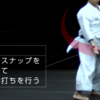 ※調整中【独自研究】日本いよわ学会(非公認)におけるいよわ曲の分解について【2025/8/21初稿】