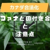 カナダ大麻合法化で日本はどう動く？日本と大麻の今後のあり方・マリファナを語る上での注意点