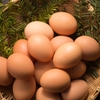 【マネーリテラシー】1つのかごにすべての卵を入れてはいけない　資産ポートフォリオによる3種類のリスク分散と2種類のリバランス