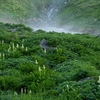 鳥海山ー残雪と花の季節ー