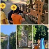 【家族旅行】3日め　和歌山〜三重へ
