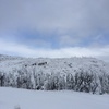 雪の北横岳へ