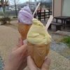 春ですね